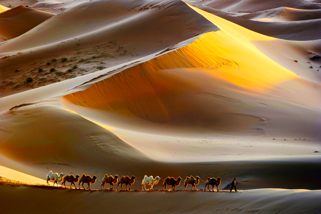 Фото пустыни Гоби