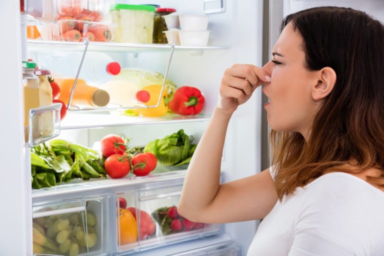 Как избавиться от запаха в холодильнике быстро в домашних условиях